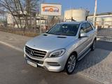 Mercedes-Benz ML 250 ML -Klasse ML 250 CDI BlueTec *NAVI*XENON - Mercedes-Benz ML 250 aus 2014