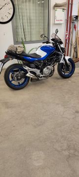 Suzuki Gladius 650 - SUZUKI 650 GLADIUS