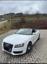 Audi A5 Cabrio 2.7 TDI S-line - Audi A5: 2.7