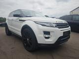 Land Rover RANGE ROVER EVOQUE DYNAMIC*LEDER*5 TÜRIG*SHZ* - Land Rover: Evoq