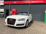 Audi A3 Cabriolet Attraction*55630Km*Tüv Au! - Audi A3: Attraction