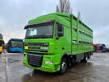 DAF XF105-460  3 Stock Vollalu Viehtransport Cow - DAF Xf 105