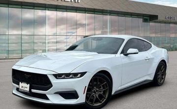 Ford FORD Mustang Fastback 2.3 EcoBoost