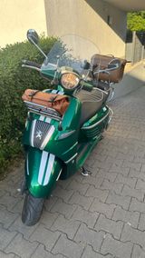 Peugeot Django 50ccm Classic Sport 4Takt in racing-green