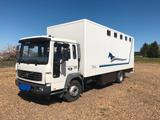 Volvo FL6 Pferdetransporter TOP ZUSTAND - Volvo F6