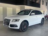 Audi Q5 2.0 TDI quattro S line Bi-Xenon/StandHZ/Pano - Audi: Standheizung