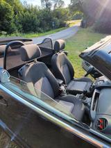 Volkswagen VW Beetle Cabrio - Volkswagen Beetle aus 2005: Cabrio