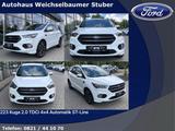 Ford 223 Kuga 2.0 TDCi 4x4 Automatik ST-Line - Ford Kuga in Augsburg