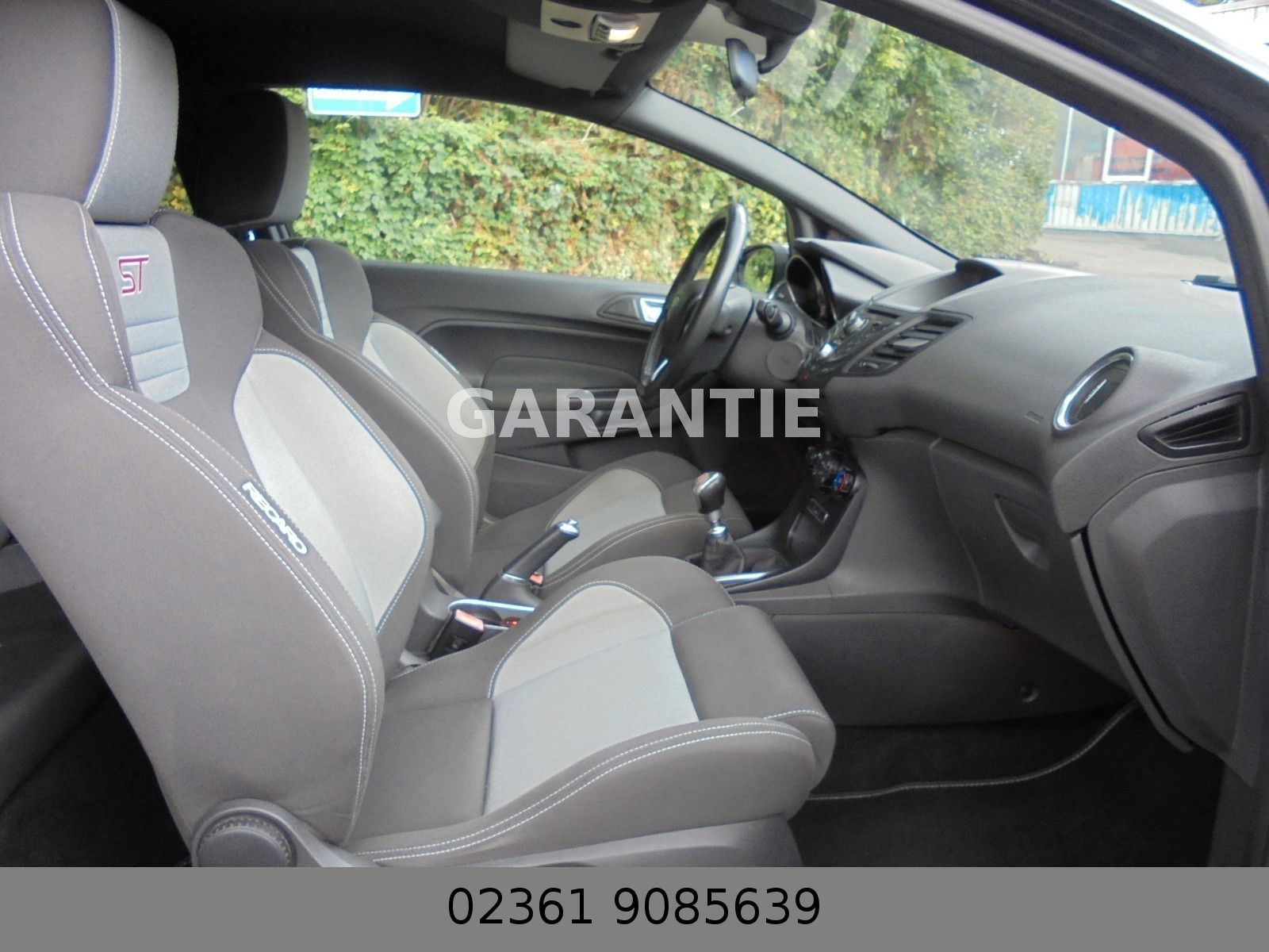 Fahrzeugabbildung Ford Fiesta ST Mega Optik