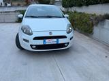 Fiat Punto Easy Lounge 1.3 Mjt 85 CV - Fiat Punto EASY mit Diesel-Antrieb
