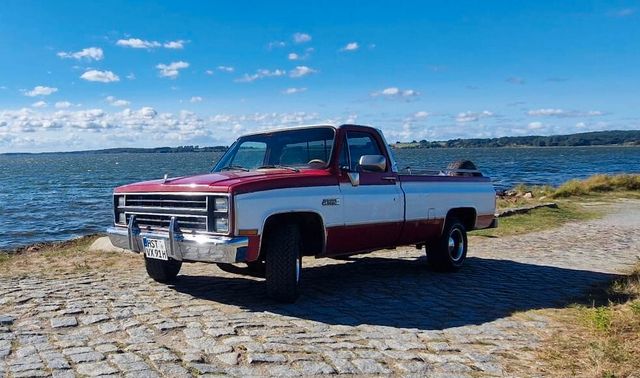 GMC 1500 Sierra Chevy C 10 Pickup Tolle Patina .Top