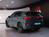 Cupra Terramar 2.0 TSI DSG 4Drive VZ Pano Matrix - Cupra Gebrauchtwagen von 2024