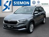 Skoda Karoq 1.0 TSI Selection LED AHK Park Winter Komf