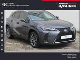 Lexus UX 250h F SPORT Design - Lexus UX: F Sport Design