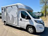 Peugeot Equi-Trek Sonic SW35P HORSE TRUCK (2) PAARDENCAM - Tier-/Pferdetransport Trek equi