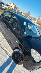 Kia Picanto  - gebrauchte Kia Picanto aus dem Jahr 2008