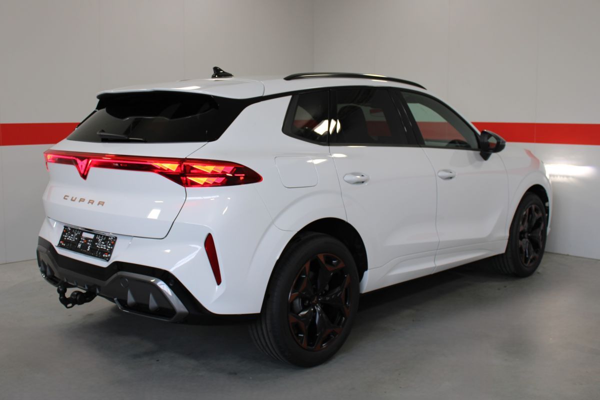 Cupra Terramar - Bild 3