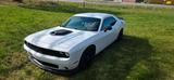 Andere Dodge Challenger 5.7 RT Shaker v8 - Andere: Sportwagen