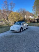 Volkswagen Beetle - Volkswagen Beetle: Beige