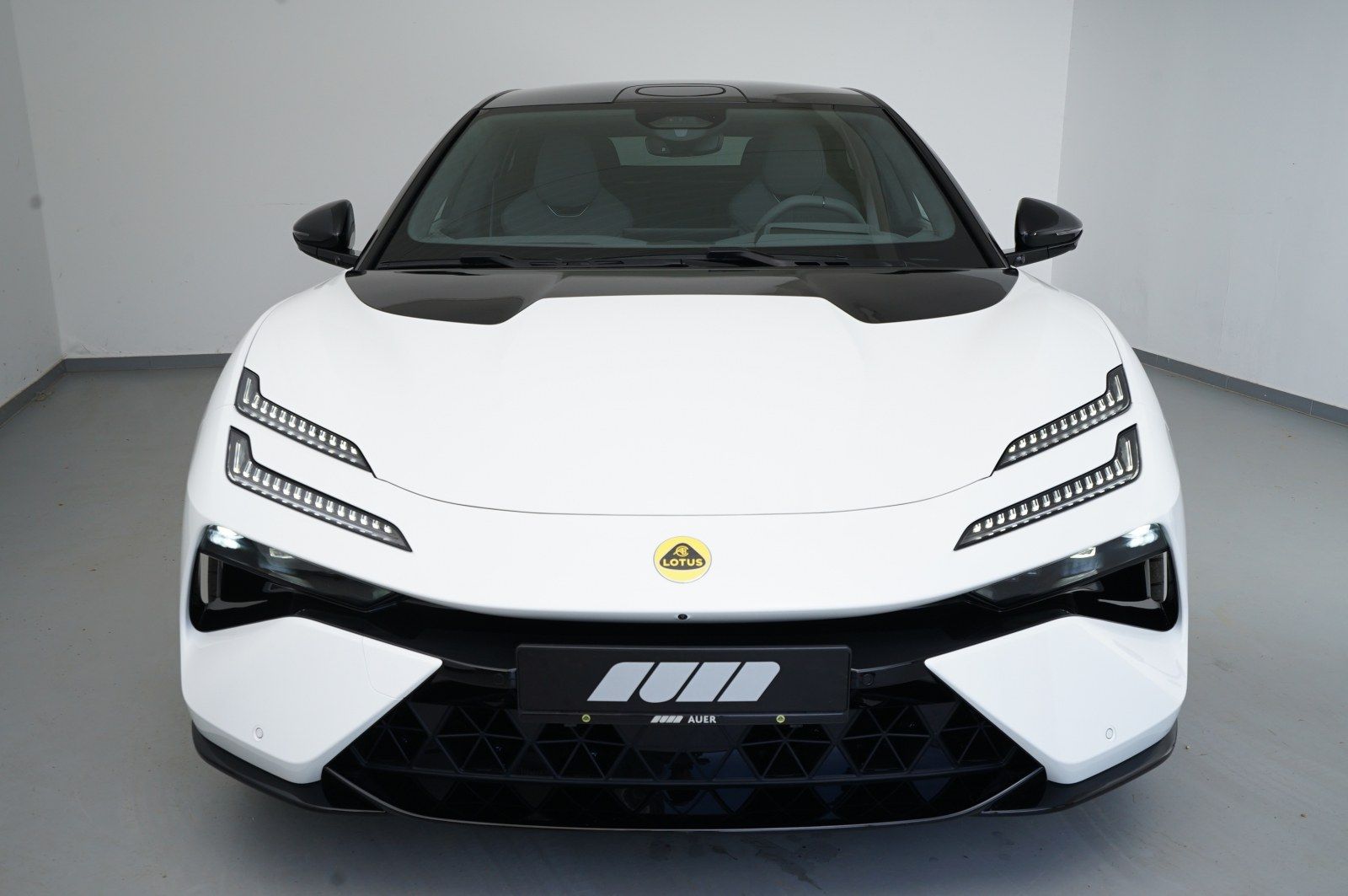 Lotus Emeya Limousine AHK / Glasdach / Touring Pack imagem 3