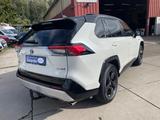 Toyota RAV 4 Hybrid 4x4/Leder/SitzHei/Navi/Pano/Kamera - Toyota Gebrauchtwagen in Mannheim