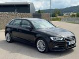 Audi A3 1.6 TDI ambition Xenon/Tempomat/Sportsitze - Audi A3 mit Diesel-Antrieb: Limousine, 1.6