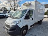 Fiat Ducato 2.3 THERMO KING V200MAX -20° Klima Automa - Offers matching your search criteria