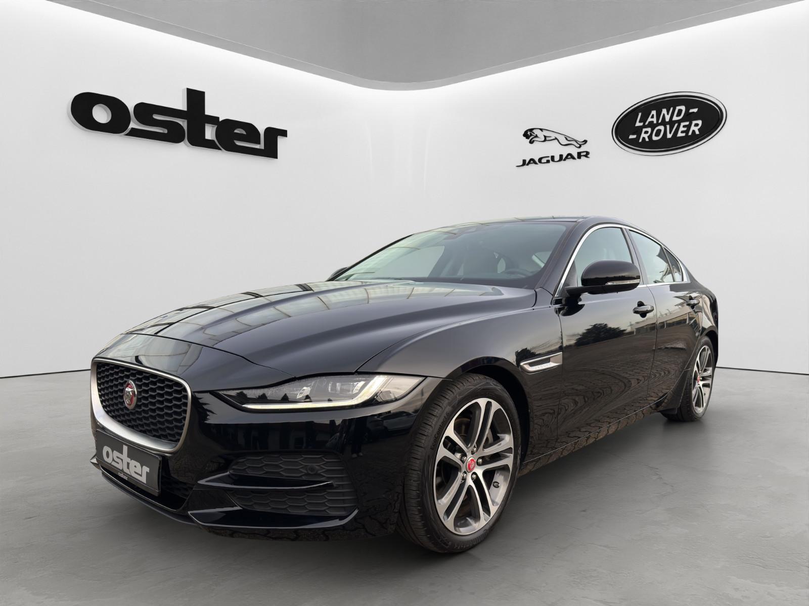 Jaguar XE P250 S|Leder Beige|Winter-Paket|Ambiente