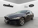 Jaguar XE P250 S|Leder Beige|Winter-Paket|Ambiente - schwarze Jaguar XE