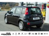 Fiat Pandina ICON Hybrid 1.0 GSE TEMPOMAT PDC LANE KL - scheckheftgepflegte Fiat New Panda