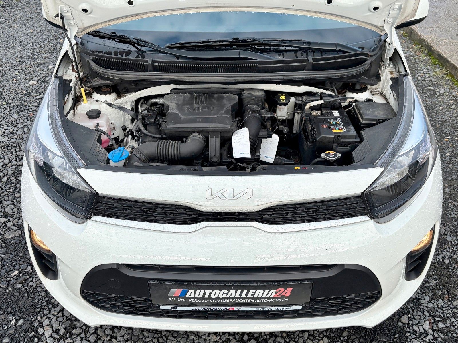 Fahrzeugabbildung Kia Picanto Edition 7 Klima 1.HAND SCHECKHEFT