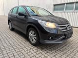 Honda CR-V 2.0 i-VTEC 2WD Elegance NR- 2570 - Honda CR-V Elegance mit Benzin-Antrieb