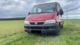 Fiat Ducato Voll Behindertengerecht EL Ram... - Fiat Ducato Gebrauchtwagen in Nürnberg