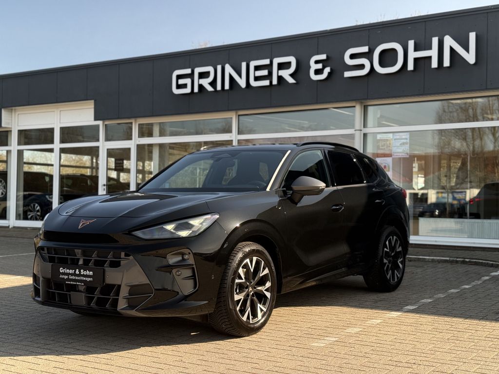 Angebot ansehen Cupra Terramar