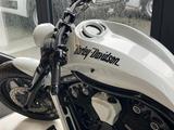 Harley-Davidson Night Rod VRSX 5HD NLC UMBAU+360er RAD+AIRRIDE - HARLEY-DAVIDSON V ROD UMBAU