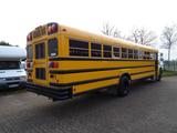 Andere AMTS IC3S530, Schoolbus, Party-Event Bus...#1203 - Angebote