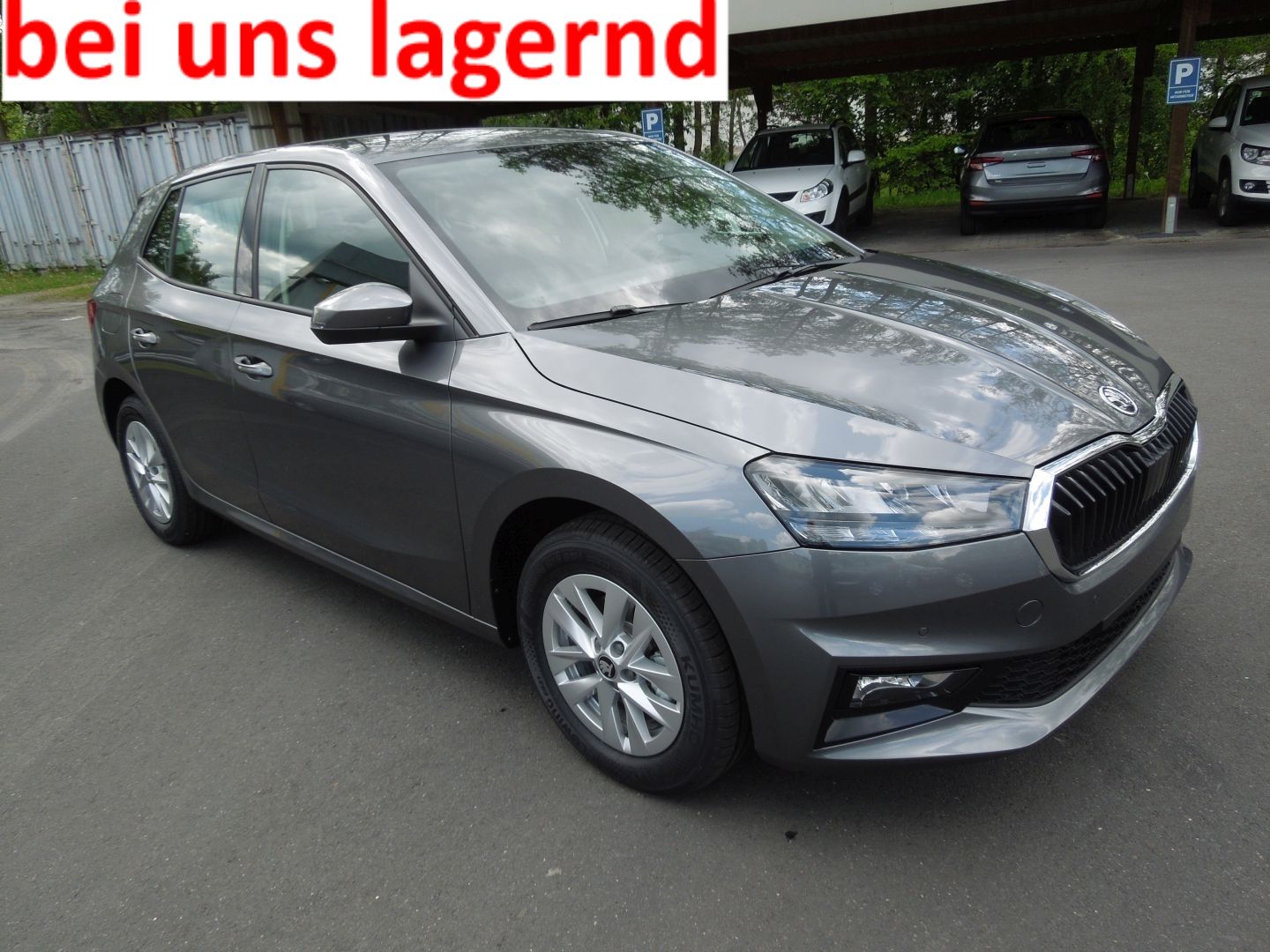 Skoda Fabia 1.0 TSI Classic/LED/Sitzheizung/Kamera/MFL