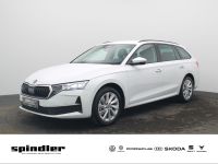 Skoda Octavia - Vorschau Bild 1