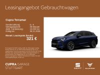 Cupra Terramar - Vorschau Bild 1