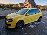 Volkswagen Golf V GTI Pirelli  - Volkswagen Golf: V Pirelli GTI
