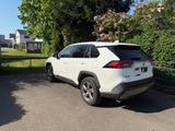 Toyota RAV4 AWD Allrad - nur 39.000 km - Keyless - gebrauchte Toyota RAV 4 aus dem Jahr 2019
