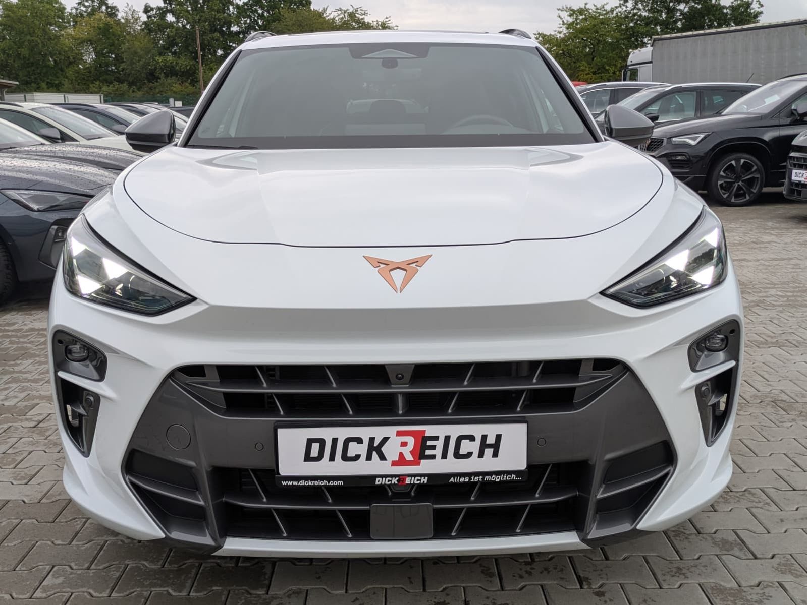 Fahrzeugabbildung CUPRA Terramar 2.0 TSI 4D VZ HUD*MATRIX*PANO*DCC*20"