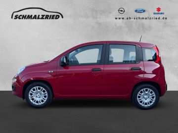 Bild 2 Fiat Panda Mild Hybrid 1.0 DAB Spurhalteass. Verkehrs