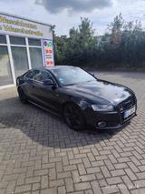 Audi Auto Audi a5 - gebrauchte Audi A5 aus dem Jahr 2007
