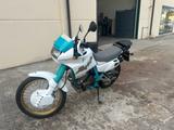 Honda NX 650 Dominator - HONDA DOMINATOR