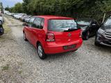 Volkswagen Polo United - VW Polo Gebrauchtwagen in Mainz