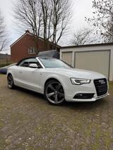 Audi A5 Cabriolet 1.8TFSi Multitronic, Bi-... - Audi A5: Multitronic
