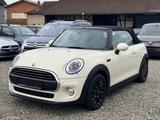 MINI ONE Cabrio One/Leder/Xenon/Shz/Navi - MINI MINI: Cabrio