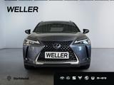 Lexus UX 250h Style Edition *Bi-LED*ACC*CAM*SHZ*CarPla - scheckheftgepflegte Lexus UX