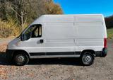 Citroën Fiat Ducato 244 Citroen Jumper 2.8 127 PS - Citroën Jumper: 2.8